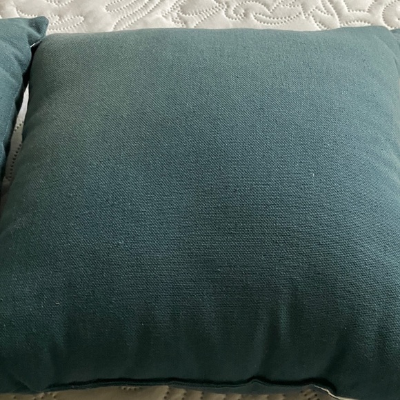 Two Rae Dunn  throw pillows - Picture 4 of 6